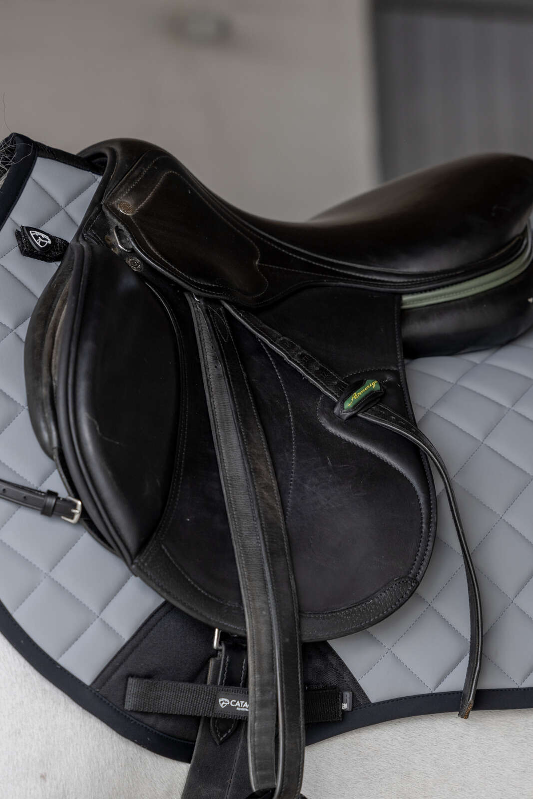 Catago FIR-Tech Grand 2.0 saddle pad, jumping