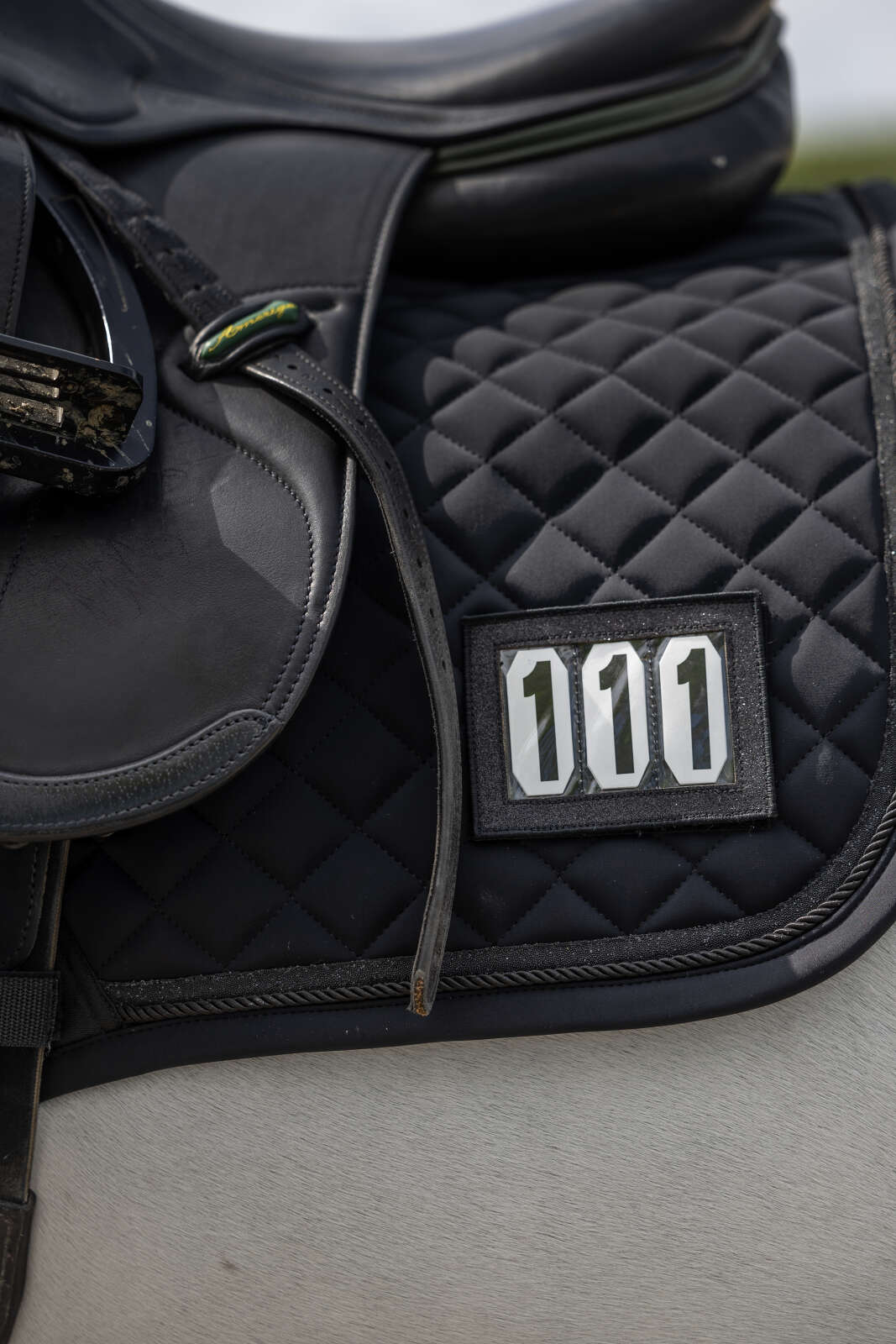 Catago Treasure 2.0 saddle pad, jumping