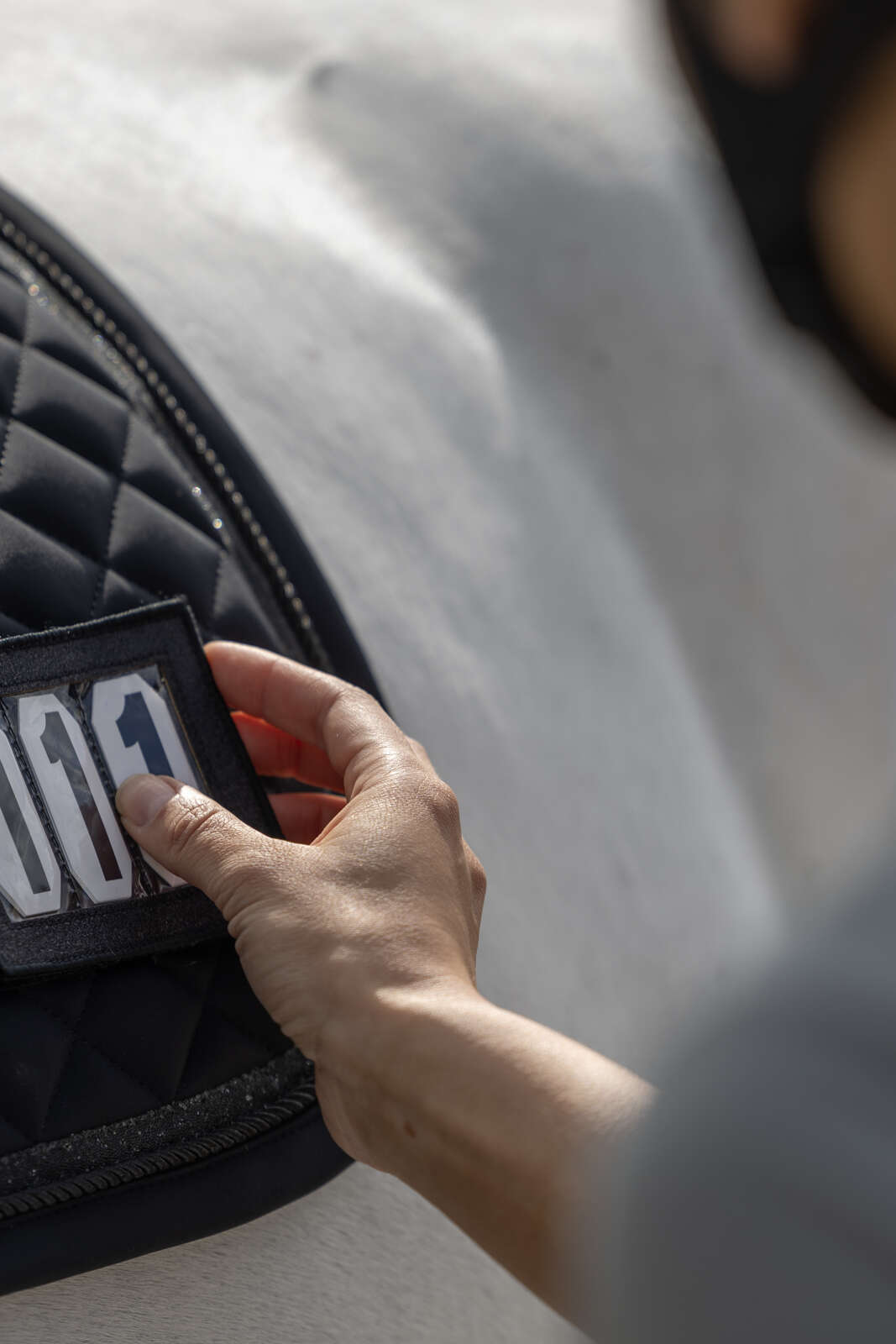 Catago Treasure 2.0 schabrak, dressyr