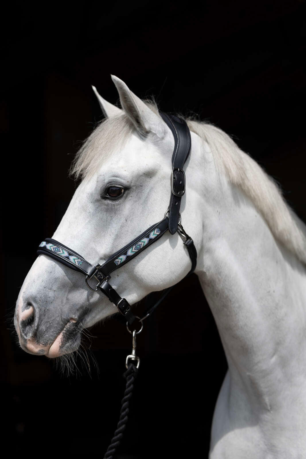 Catago Anamo Lederhalfter