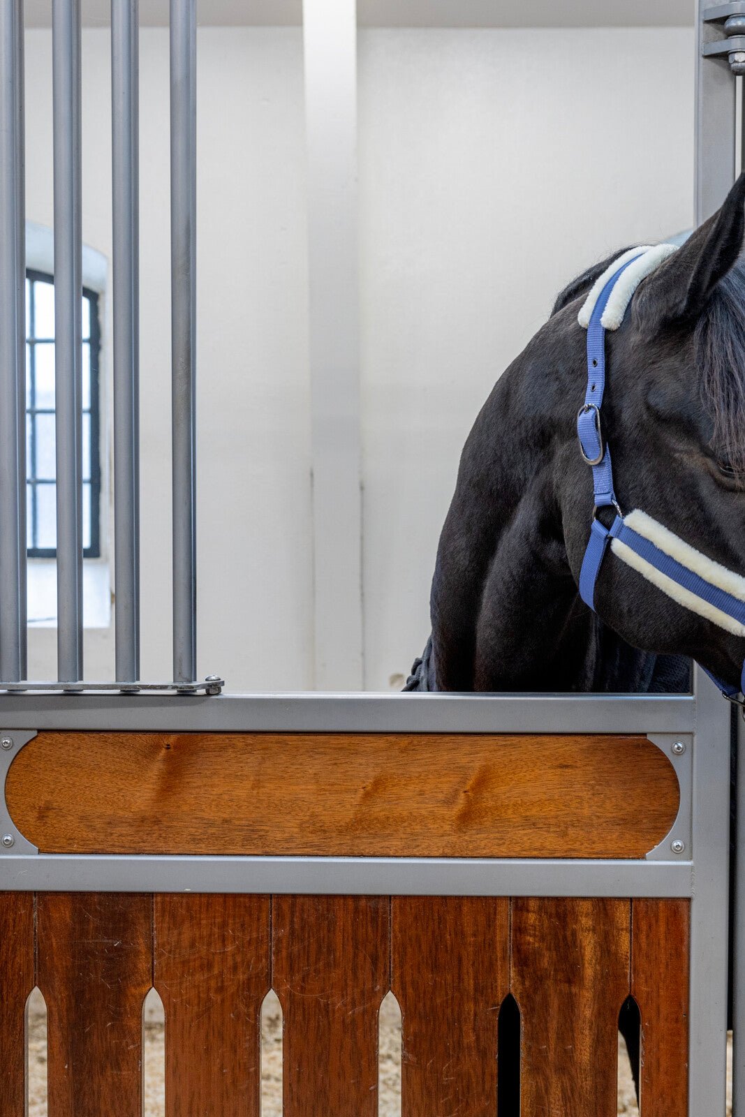 CATAGO Trace halter - Unamari