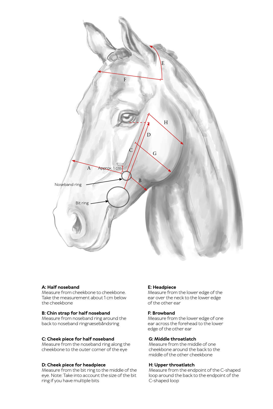 Catago Gentle nose strap