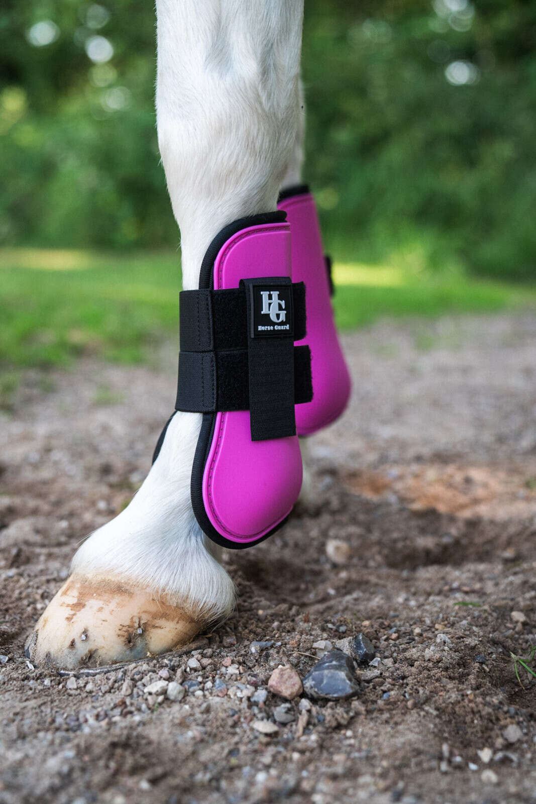 Horse Guard Timian tendon boots