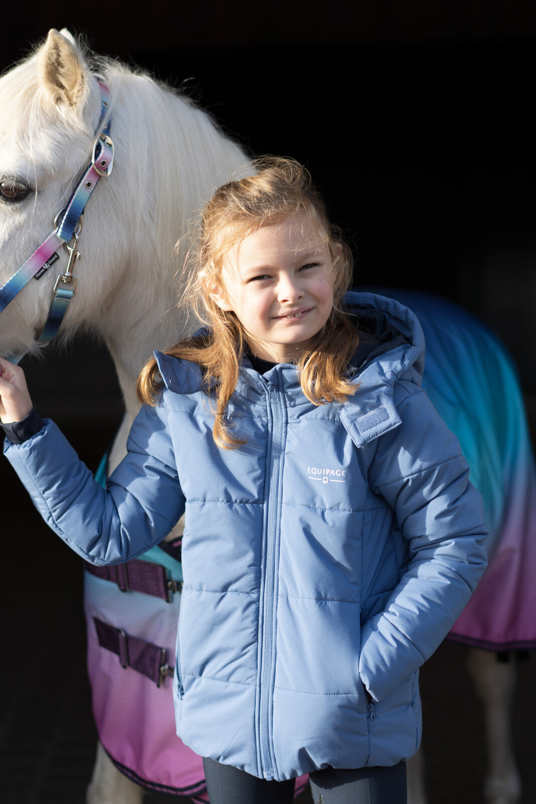 HorseGuard Gradient Halfter