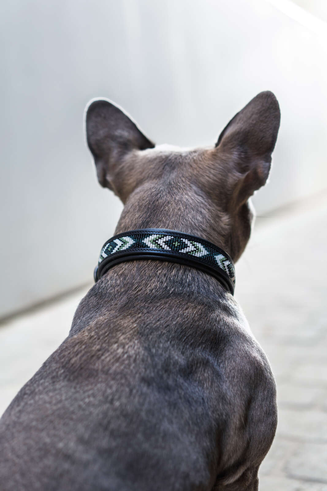 CATAGO Viben læderhalsbånd til hund, perlemønster