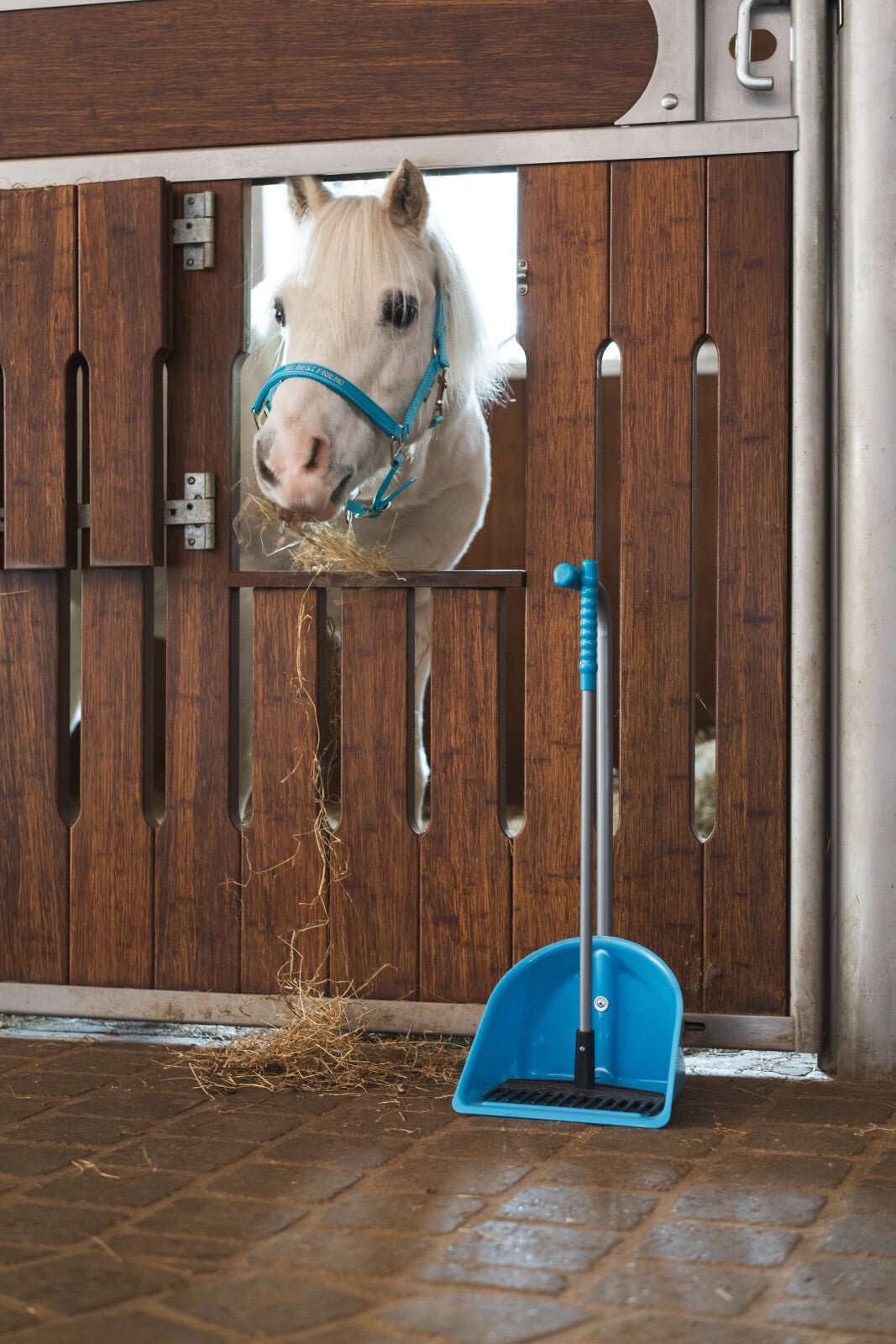 Horse Guard Malva halter "My Best Friend" - Unamari