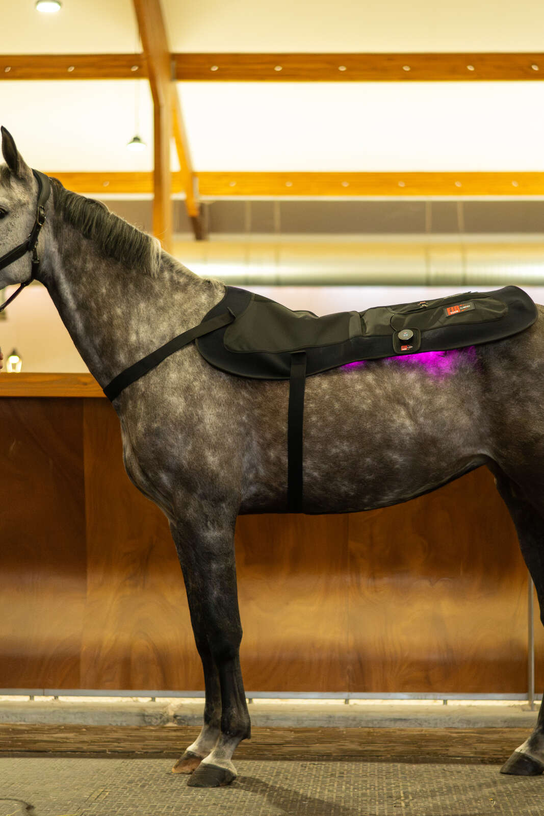 CATAGO FIR-Tech LED Therapy Pad X84, 115 x 74 cm
