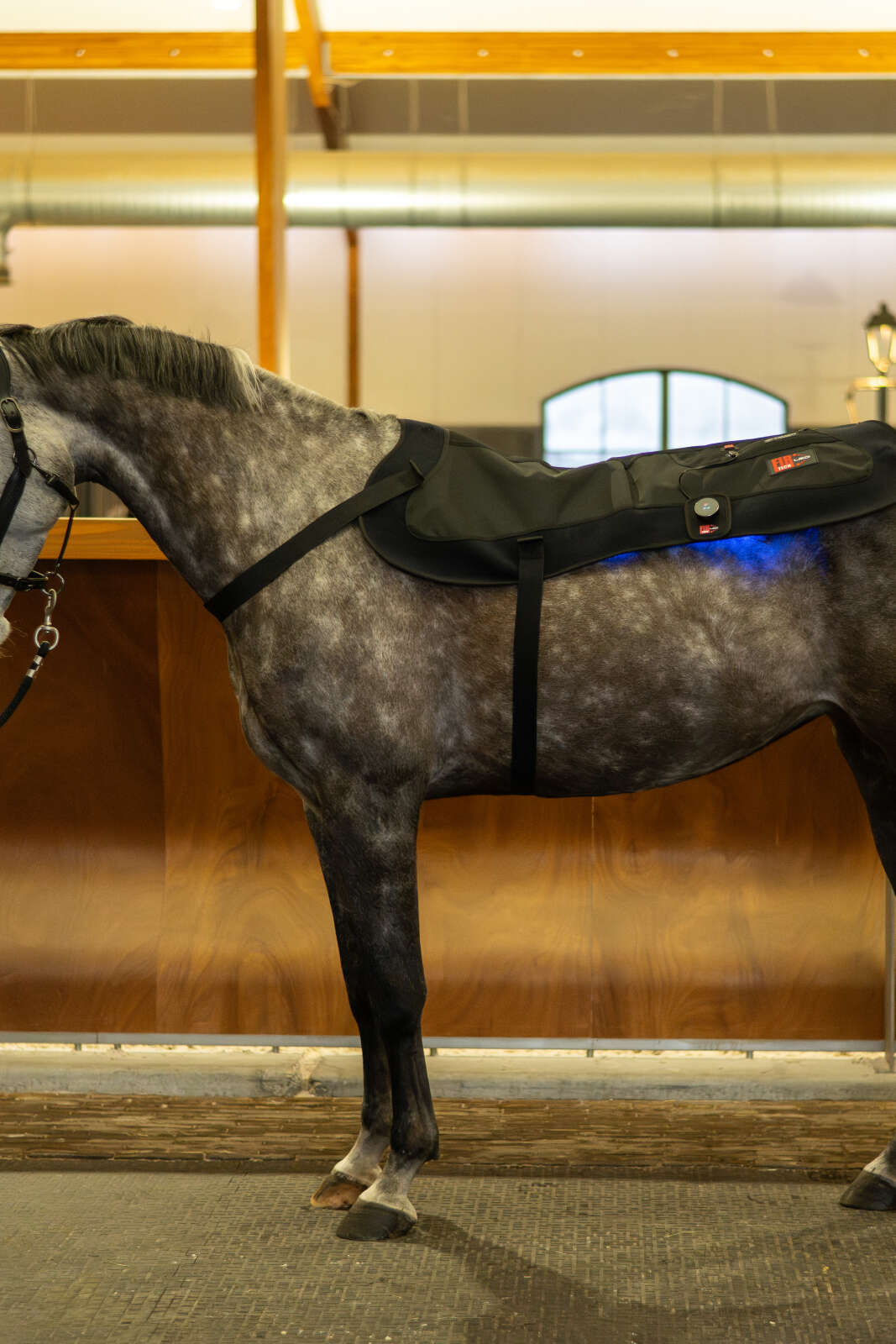 CATAGO FIR-Tech LED therapy pad X84, 115 x 74cm