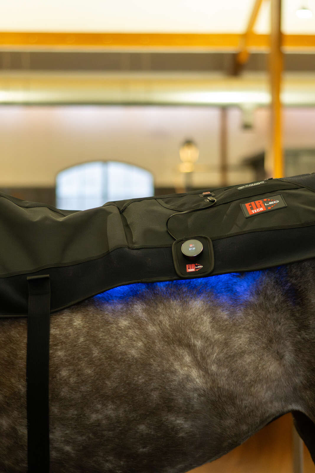 CATAGO FIR-Tech LED therapy pad X84, 115 x 74cm