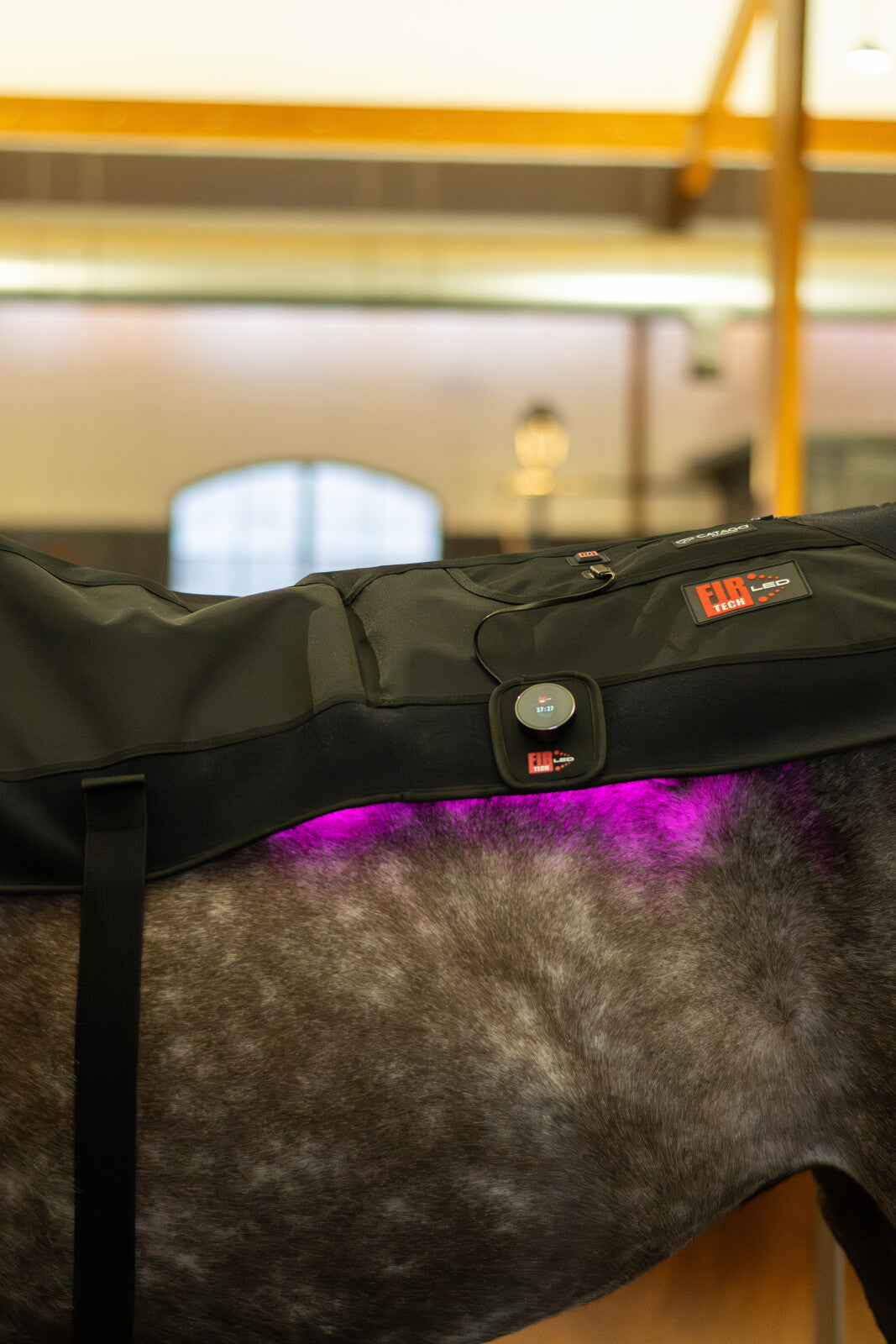 CATAGO FIR-Tech LED therapy pad X84, 115 x 74cm