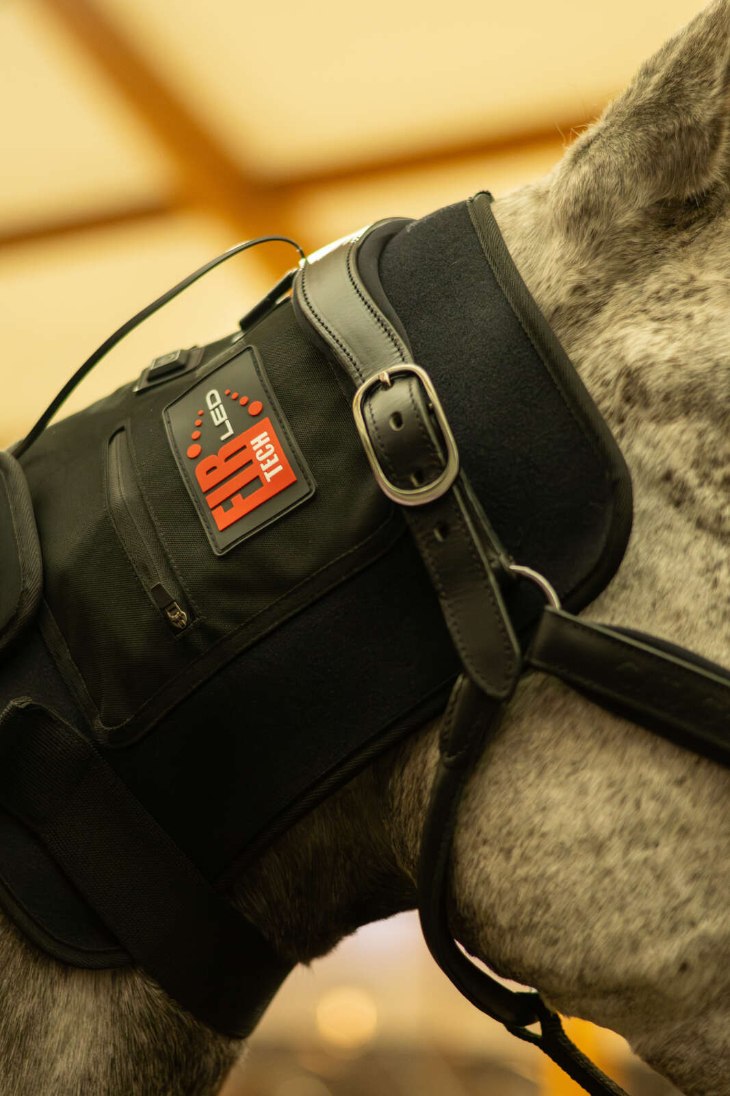 CATAGO FIR-Tech LED Therapy pad Q27, 46 x 36cm