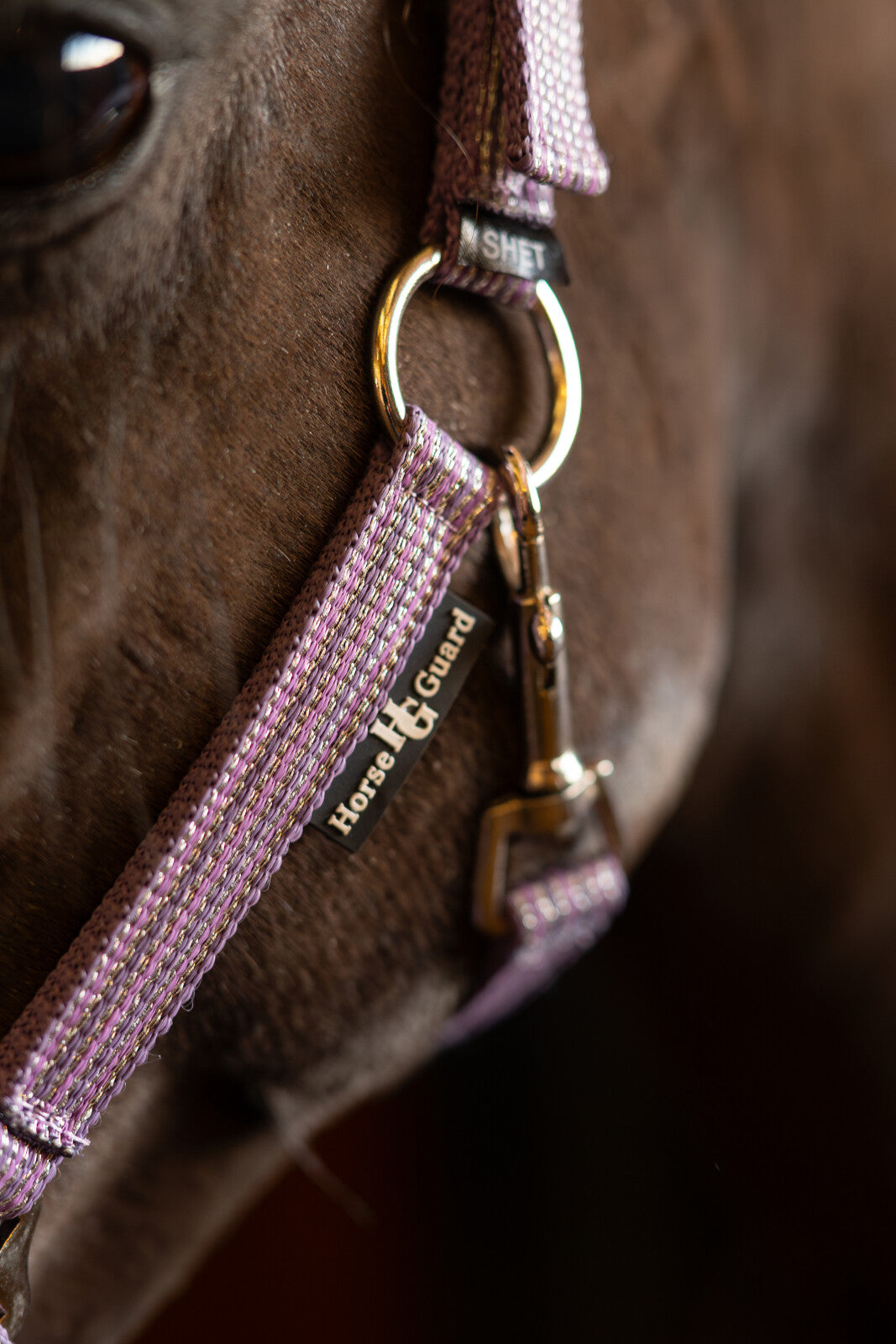 HorseGuard Mascha Halfter