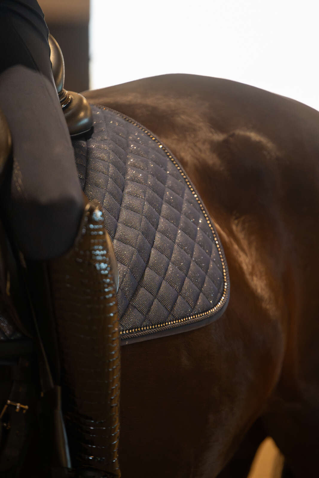 Horse Guard Milva dressursjabrak