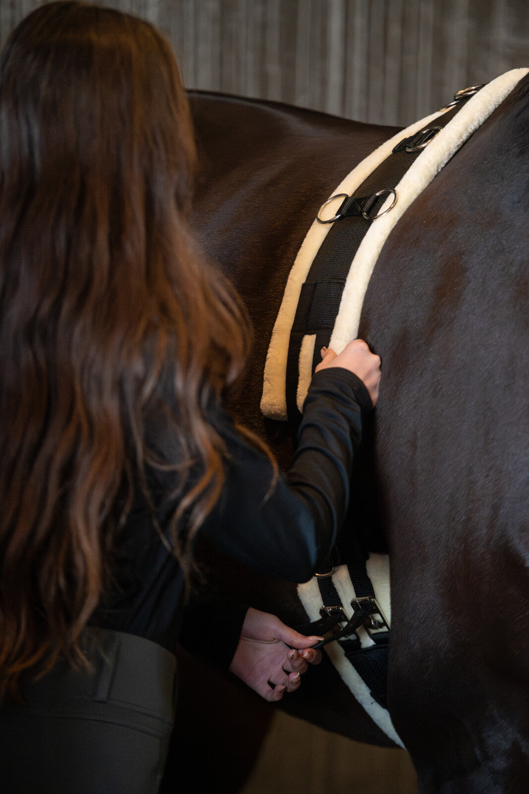 HorseGuard Longiergurt mit Teddybär