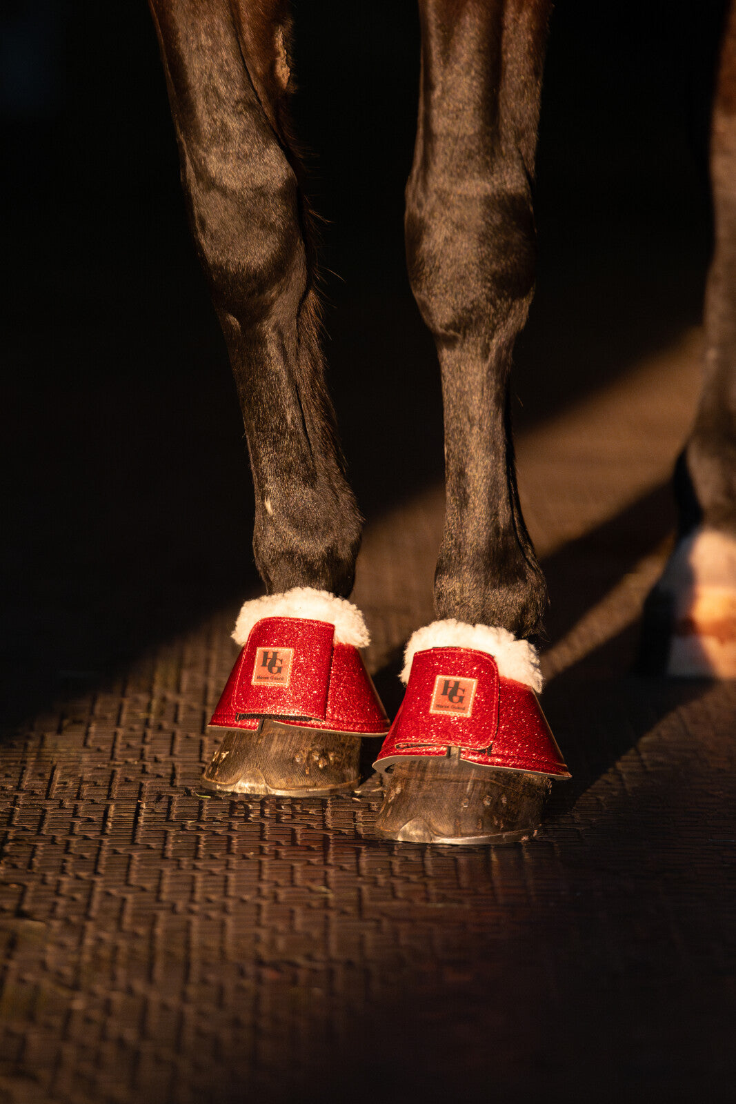HorseGuard Lulu glitter bell boots