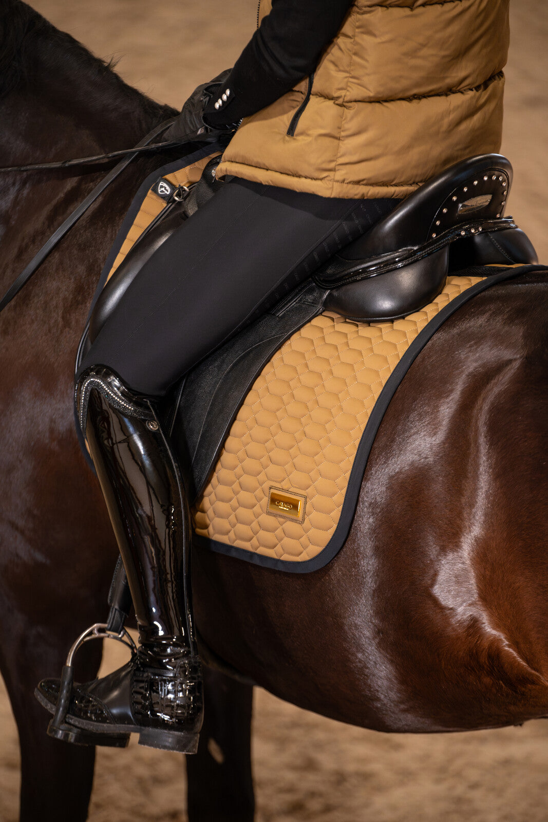 CATAGO Rachel breeches Fullgrip