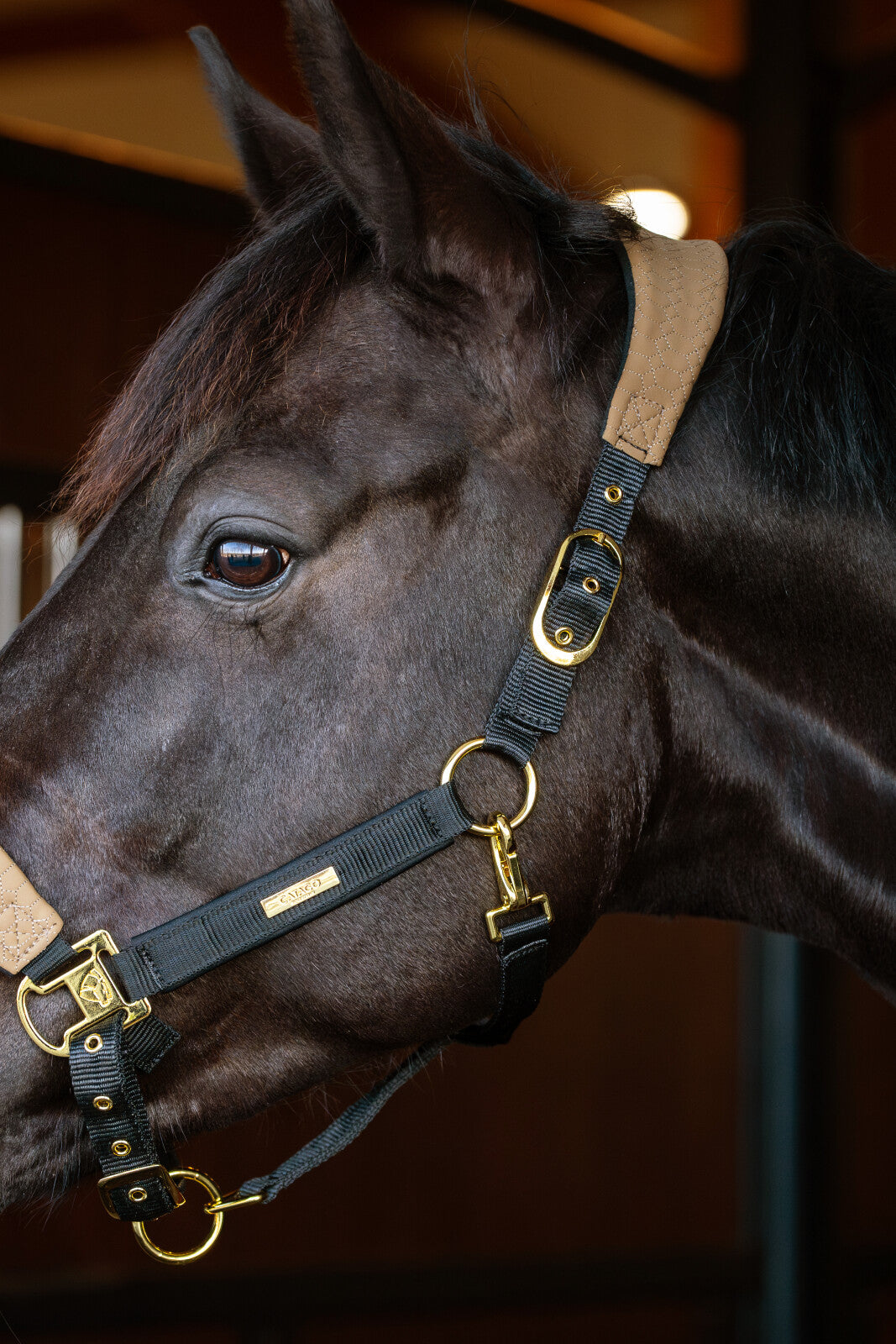 CATAGO FIR-Tech Grand halter