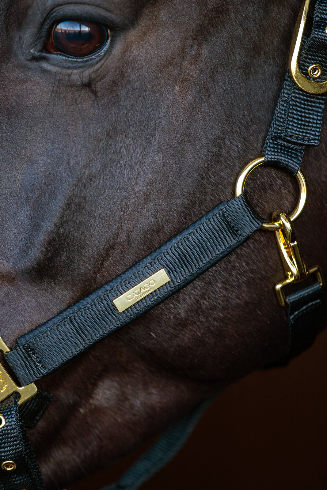 CATAGO FIR-Tech Grand halter