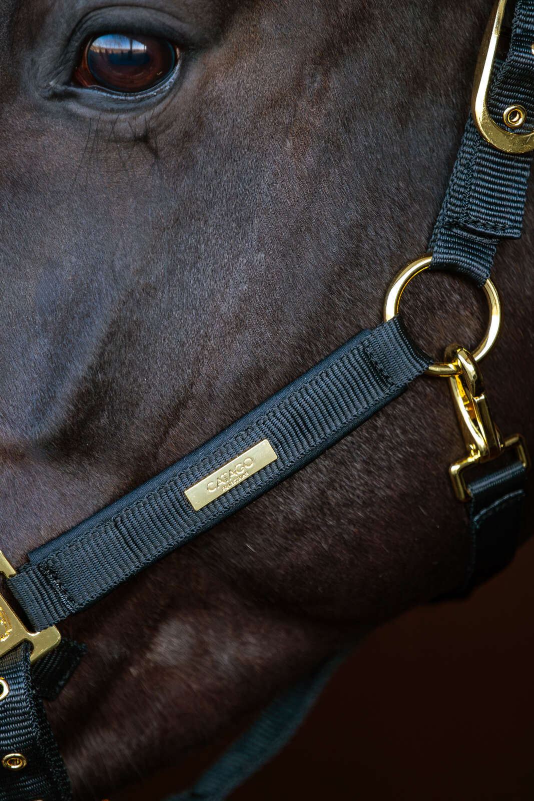 Catago FIR-Tech Grand grime