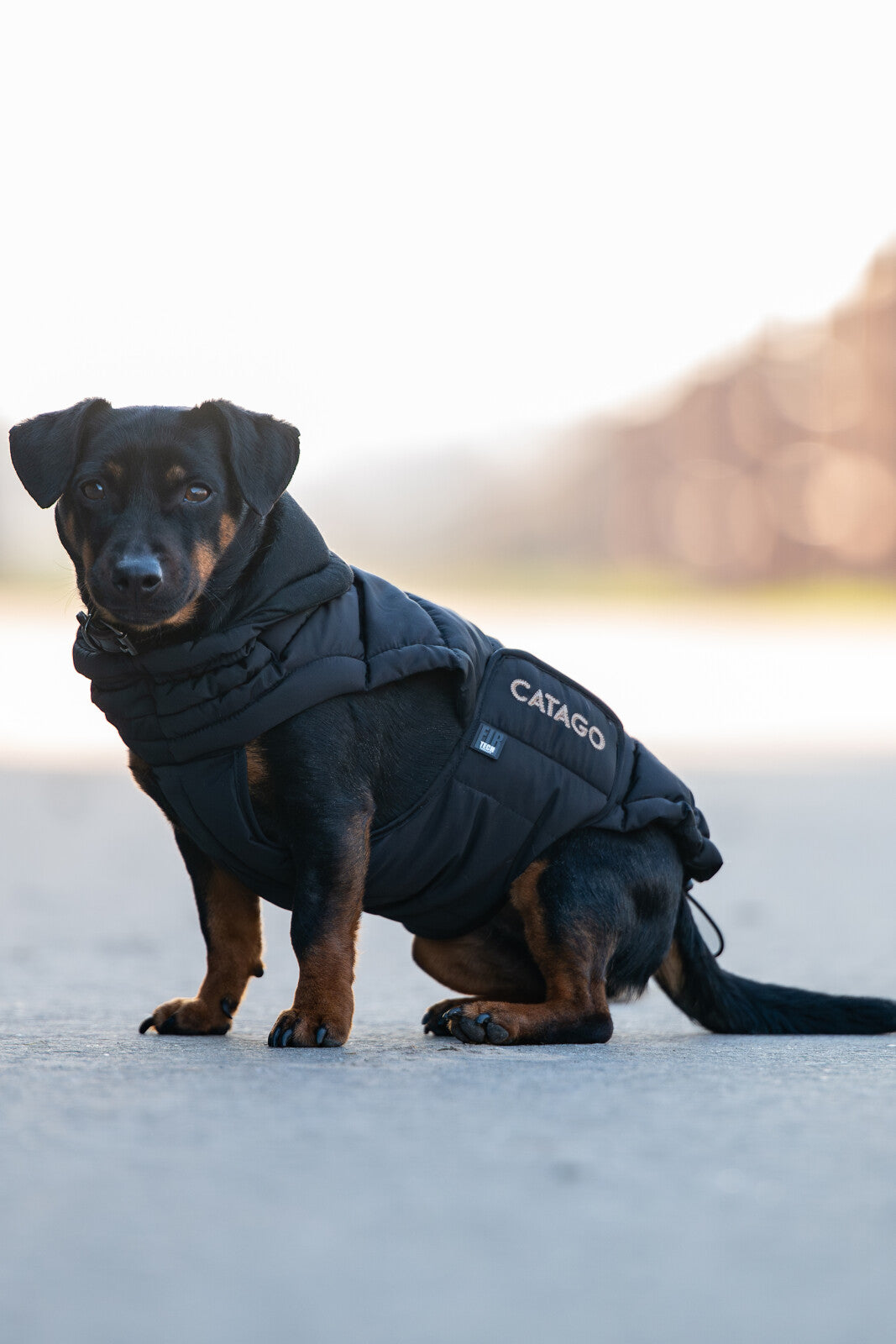 CATAGO FIR-Tech puffer Hundedecke