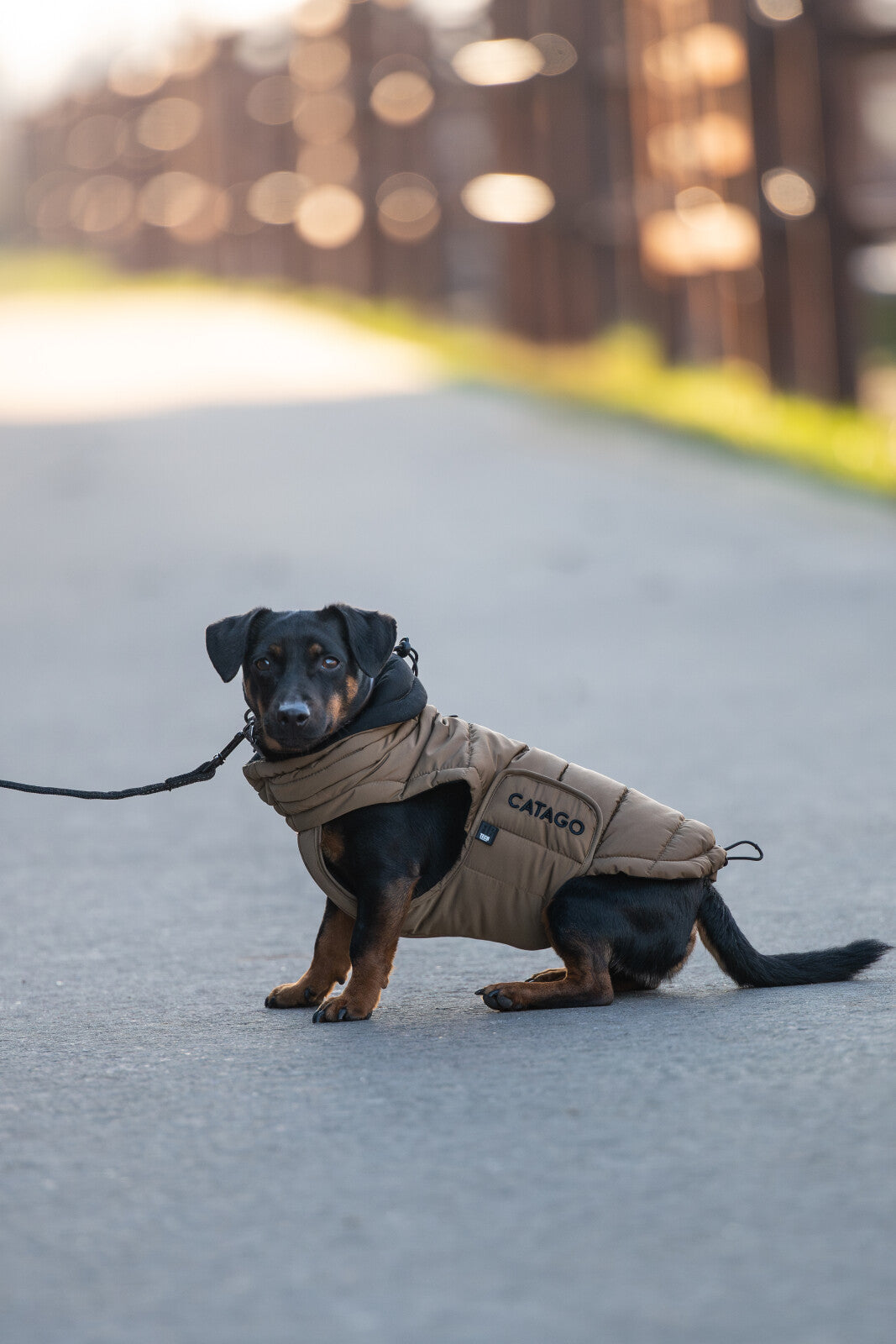 CATAGO FIR-Tech puffer dog rug