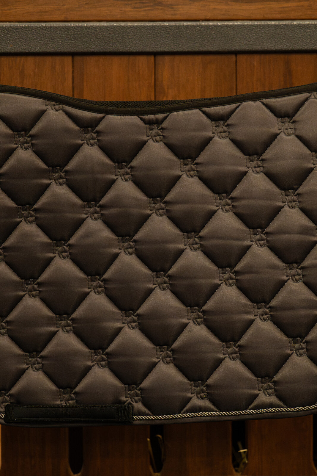 Horse Guard Shawn schabrak