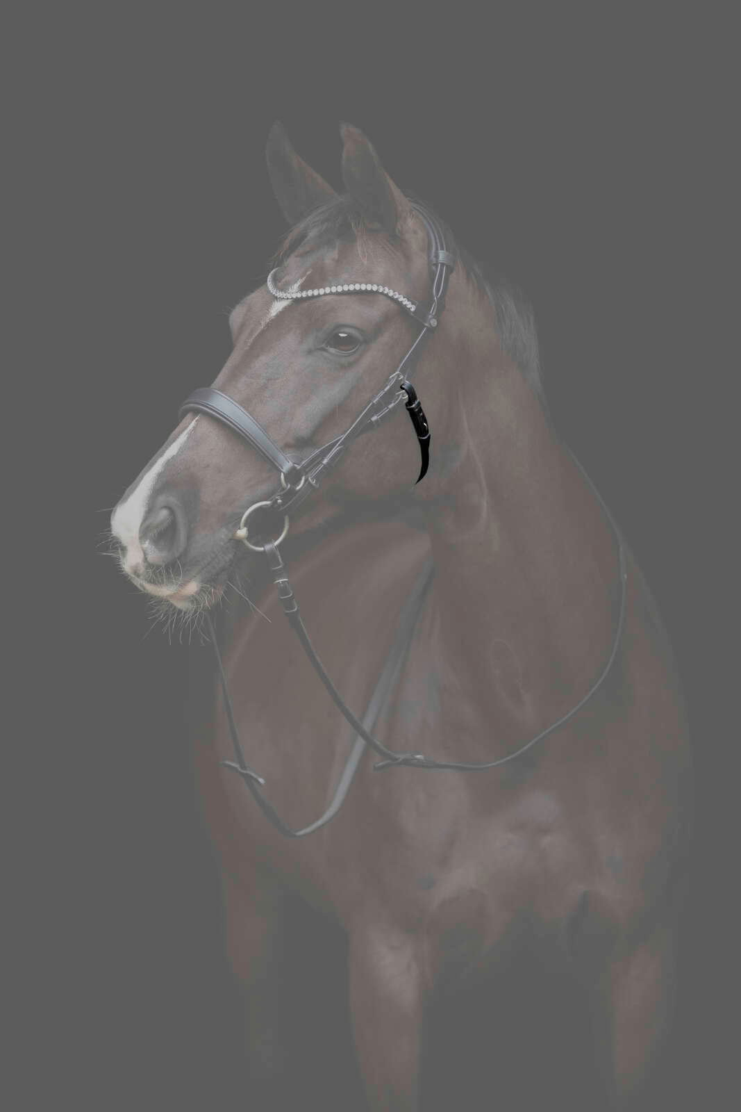 CATAGO Gentle käkrem