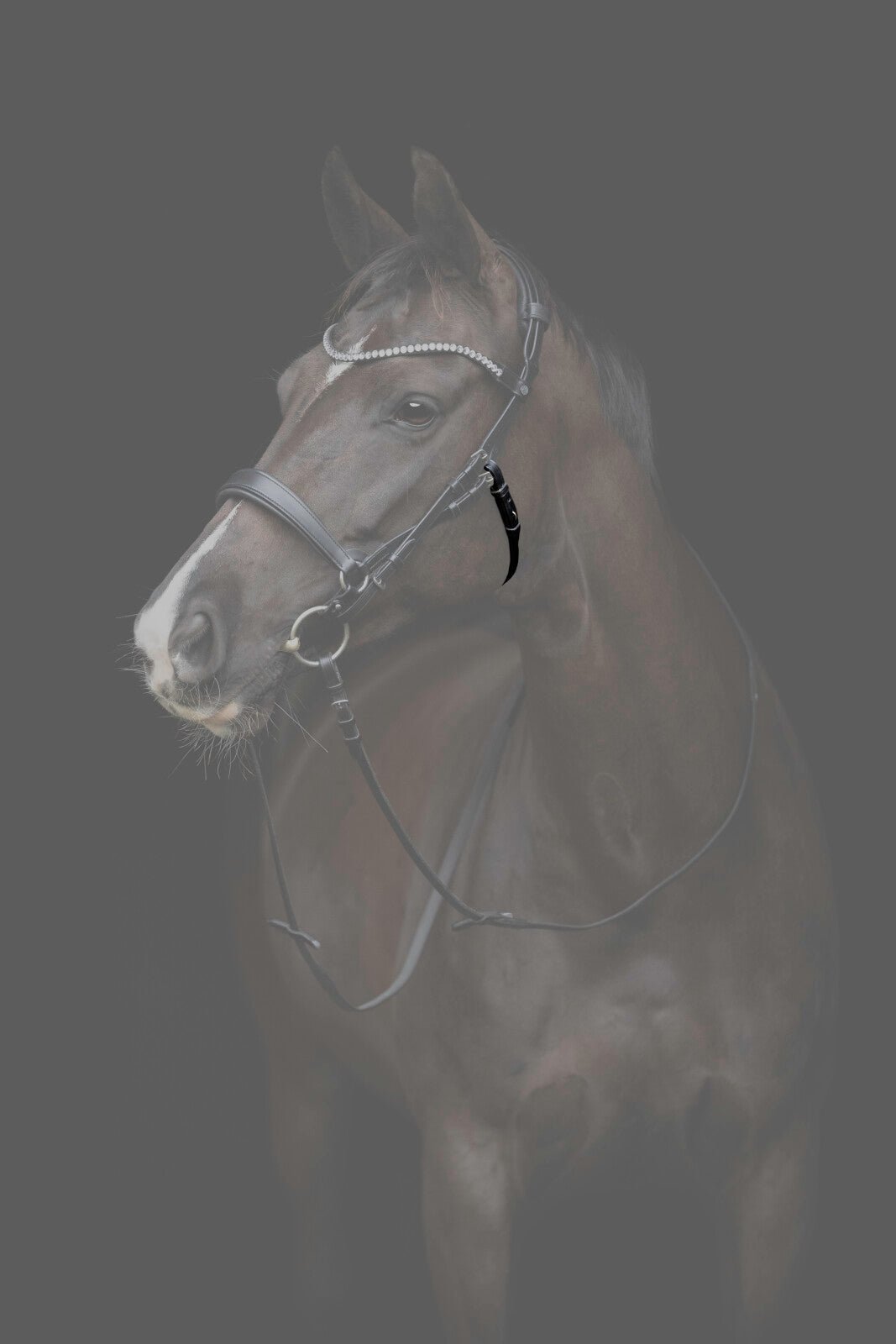 CATAGO Gentle throat latch - Unamari