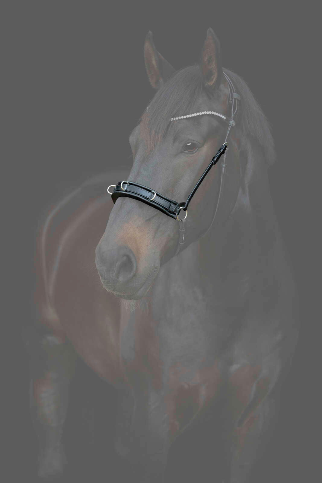 CATAGO Gentle kapson nosgrimma med vaddering