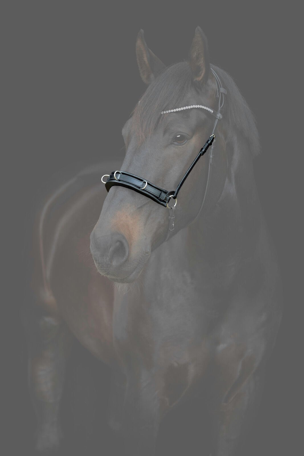 CATAGO Gentle cavesson - Unamari