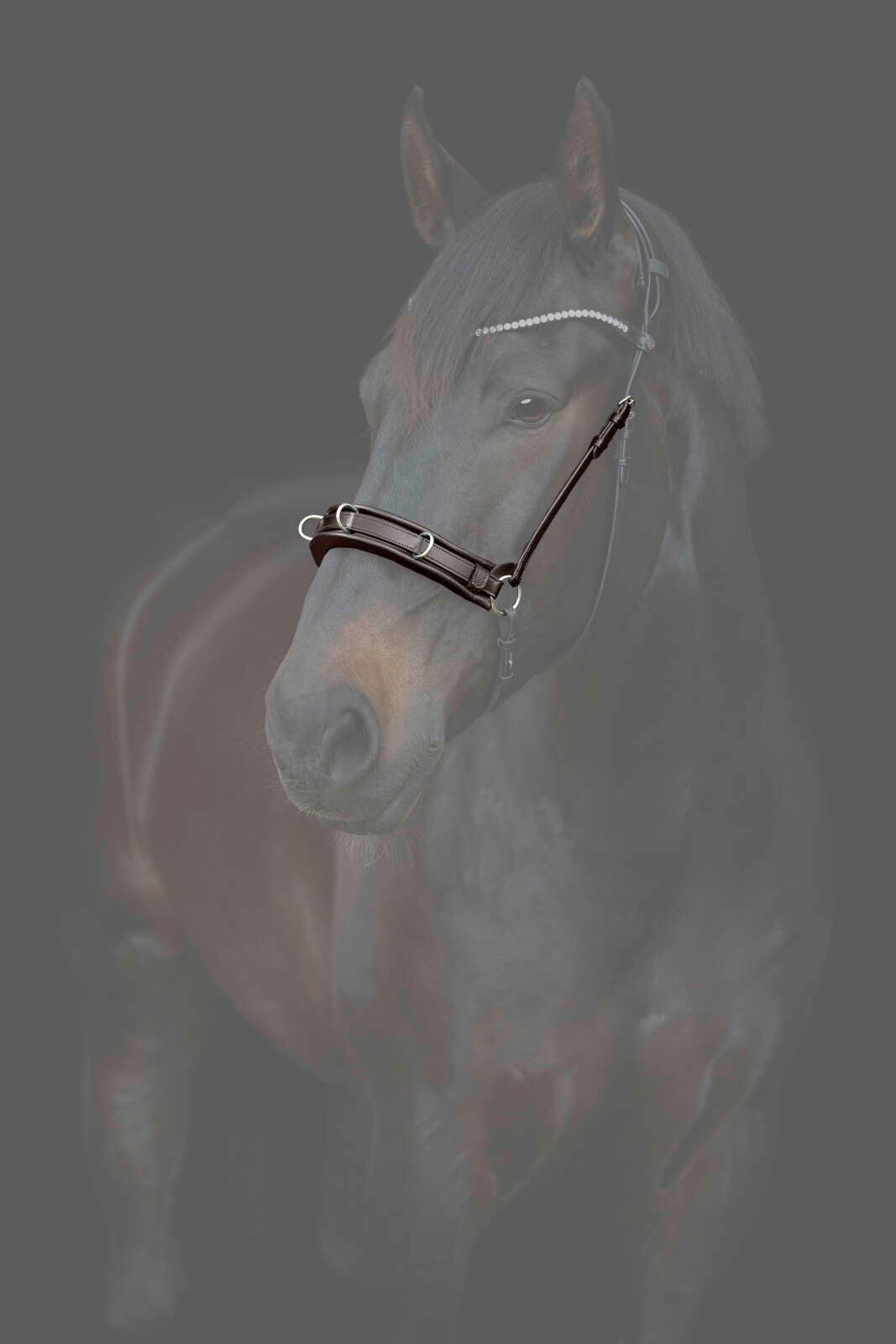 CATAGO Gentle kapson nosgrimma med vaddering