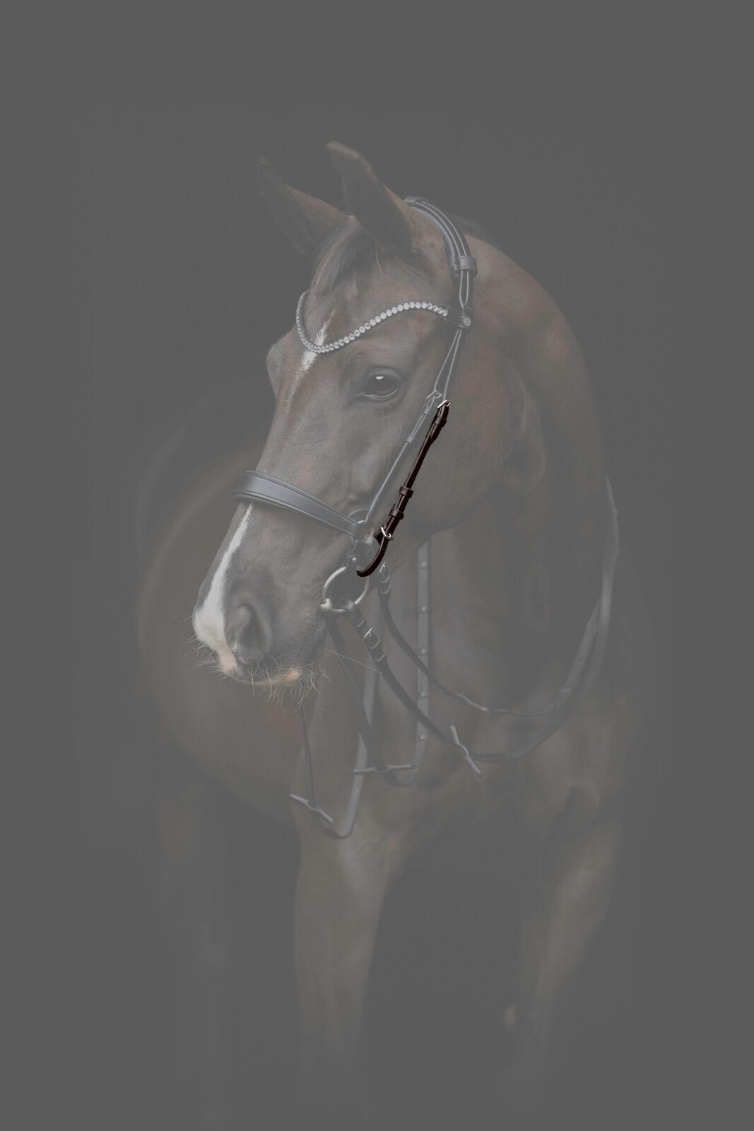 CATAGO Gentle cheekpieces - Unamari