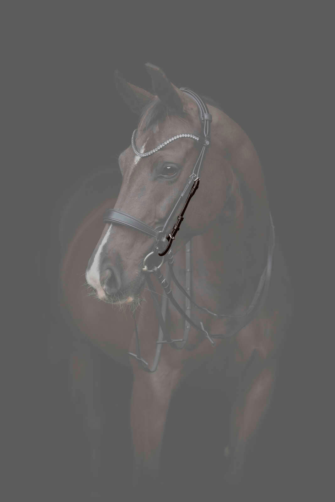 CATAGO Gentle sidostycken