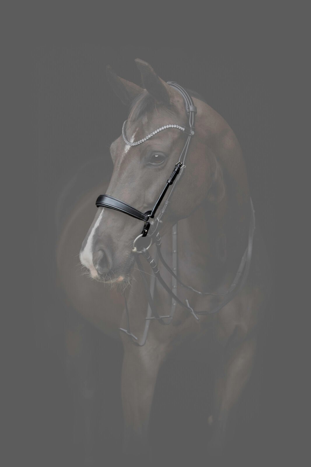CATAGO Gentle noseband with connection rings - Unamari