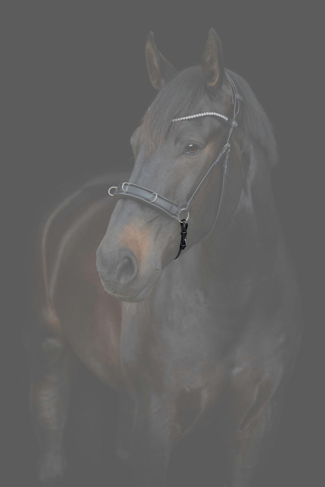 CATAGO Gentle nose strap - Unamari