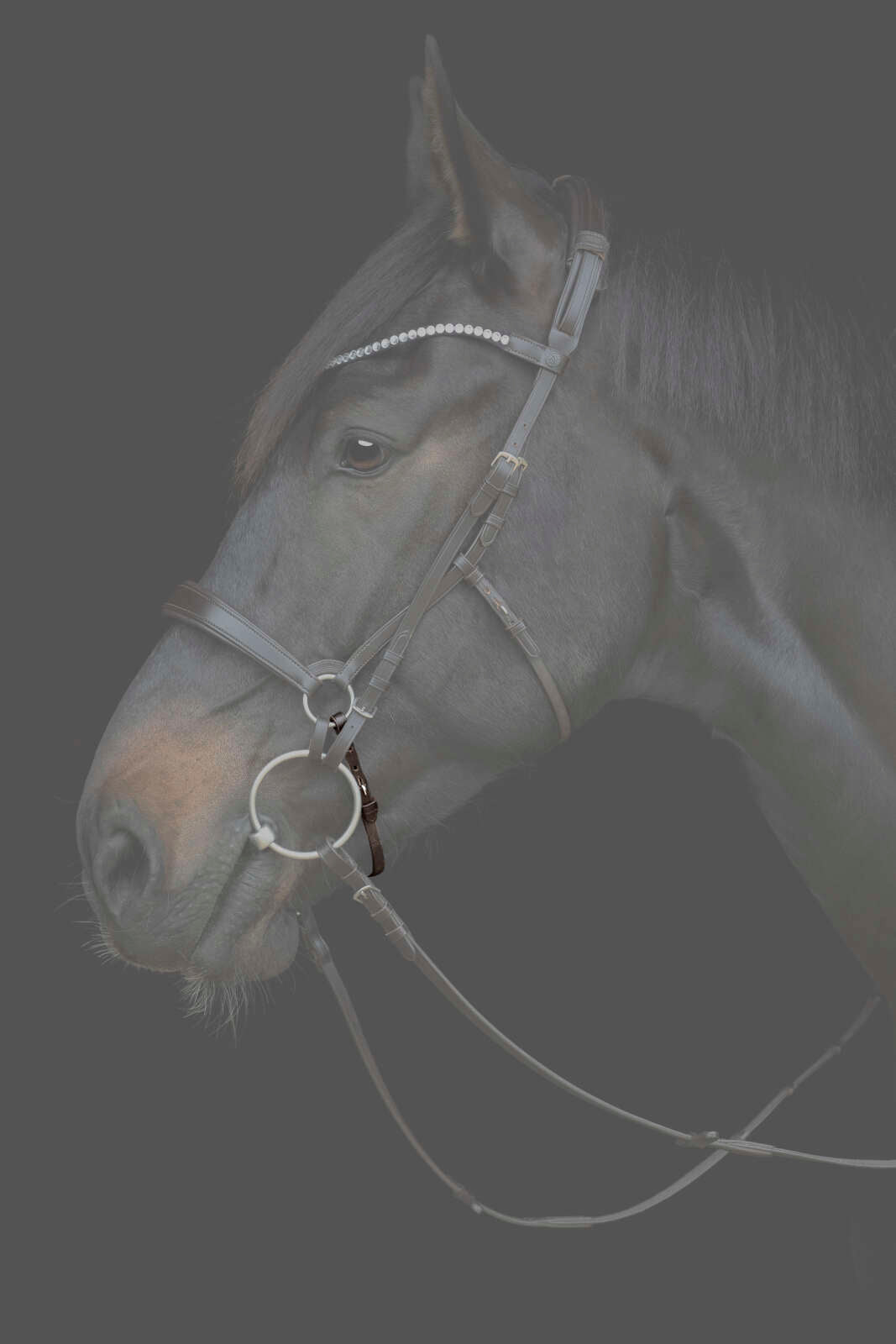 Catago Gentle-næserem