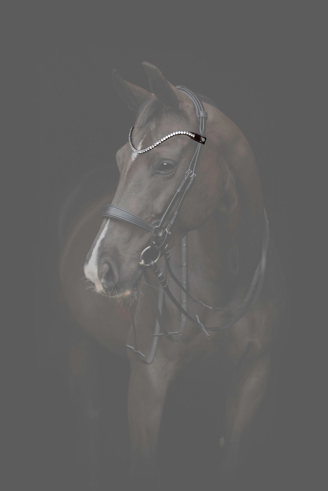 CATAGO Gentle browband - Unamari