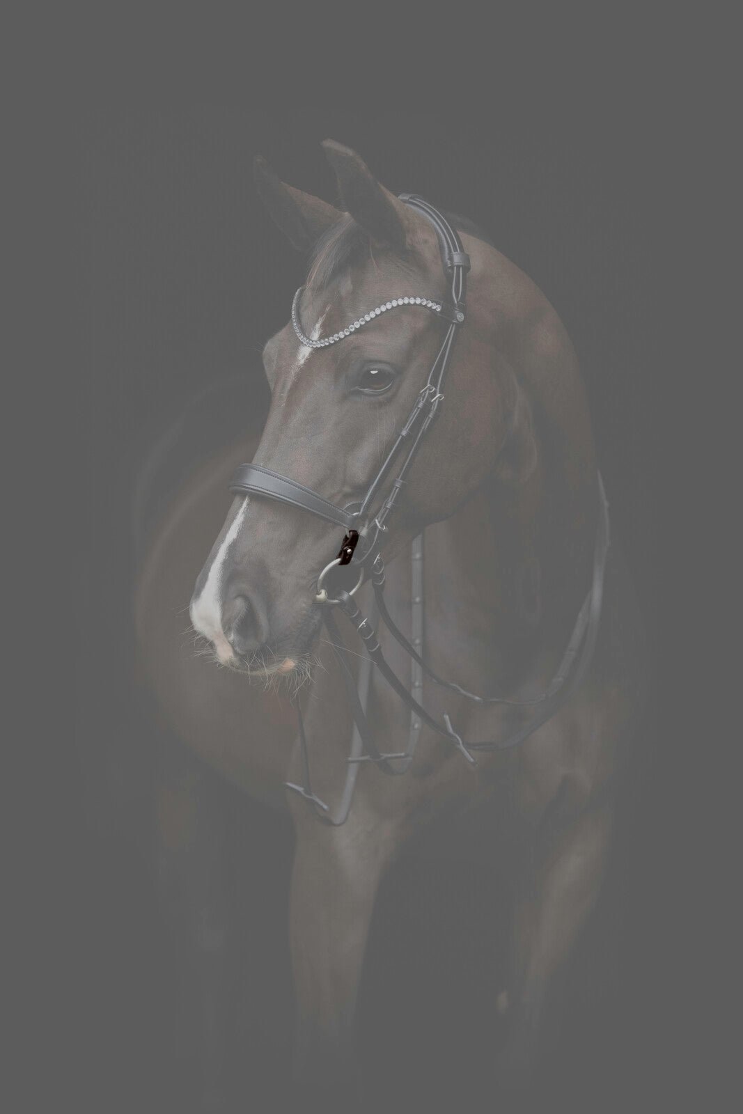 CATAGO Gentle connecting rings - Unamari