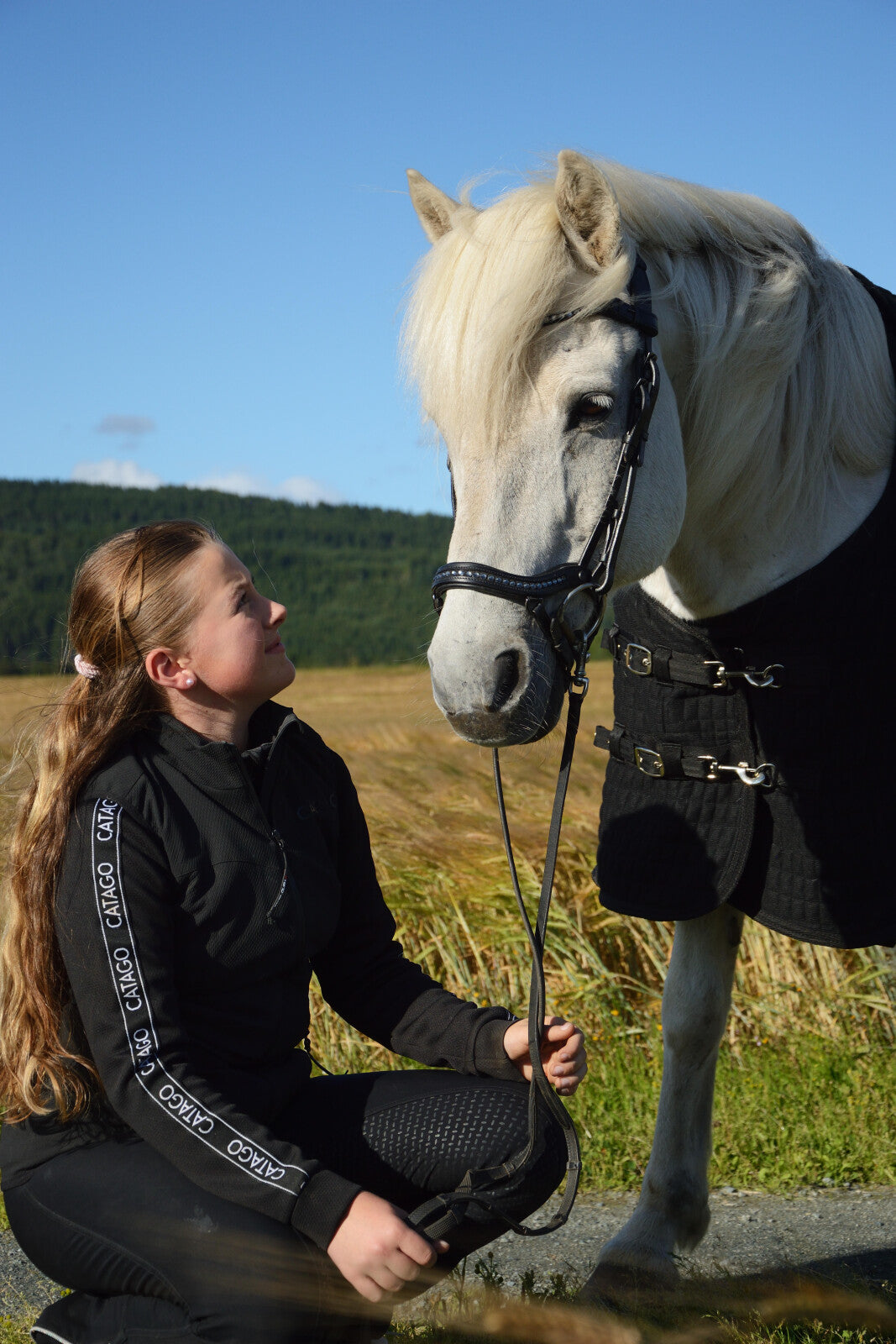 CATAGO Raja icelandic bridle