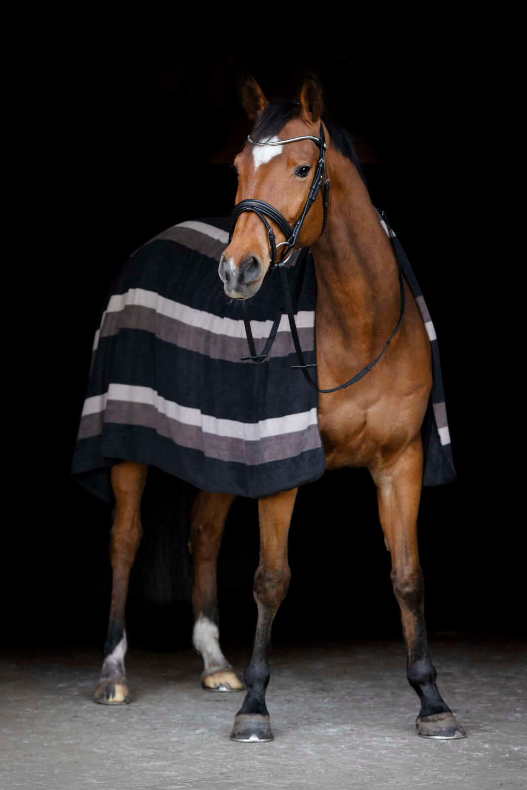 Horse Guard Squared-tæppe