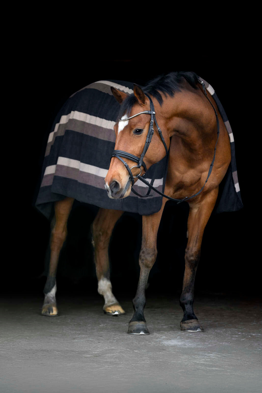 Horse Guard Squared-tæppe