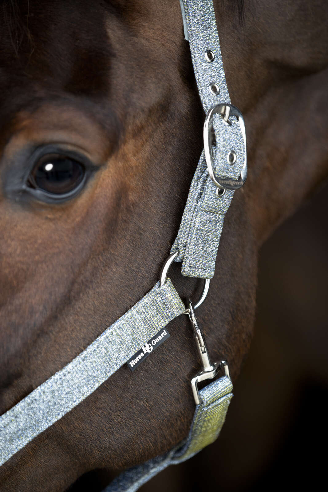 Horse Guard Iowa färgskiftande glittergrimma
