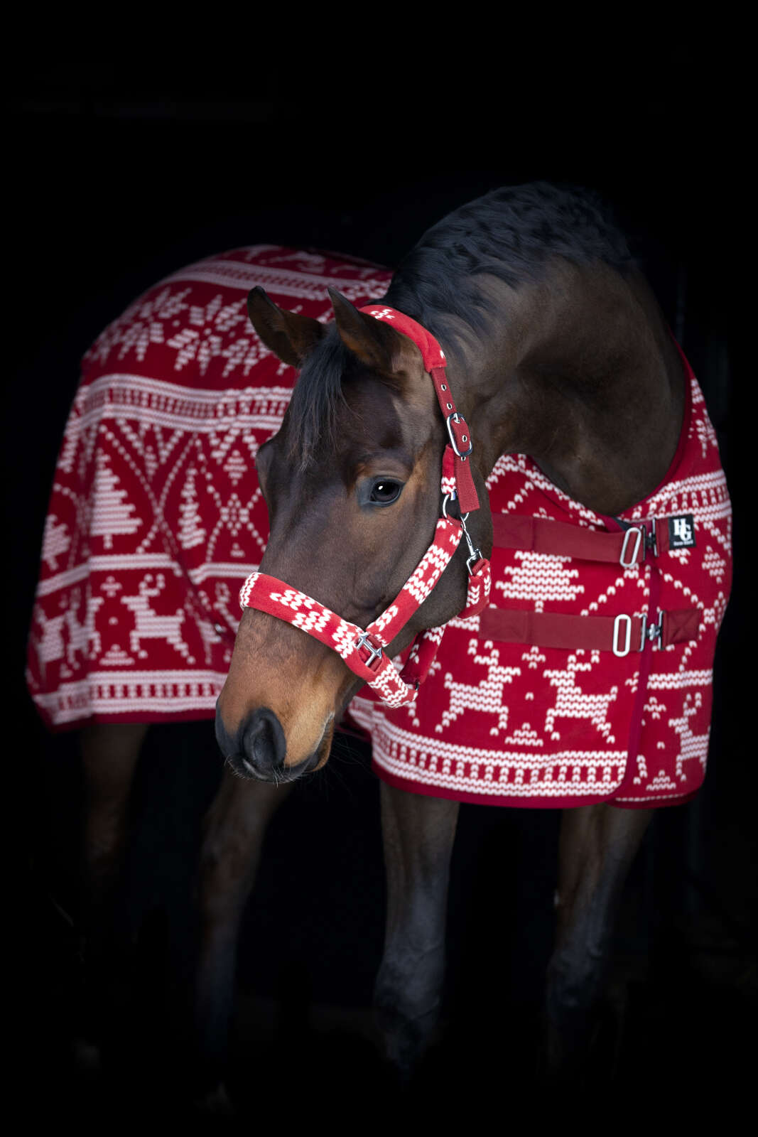 Horse Guard Christmas Halfter