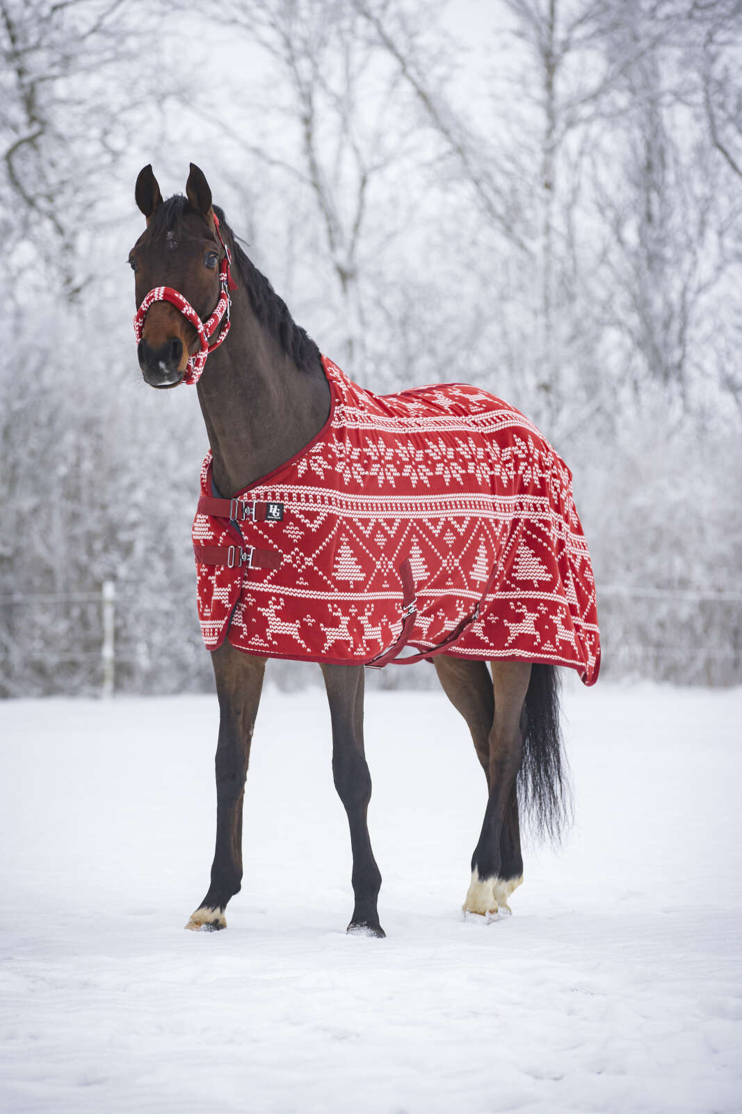 Horse Guard Christmas fleecetäcke