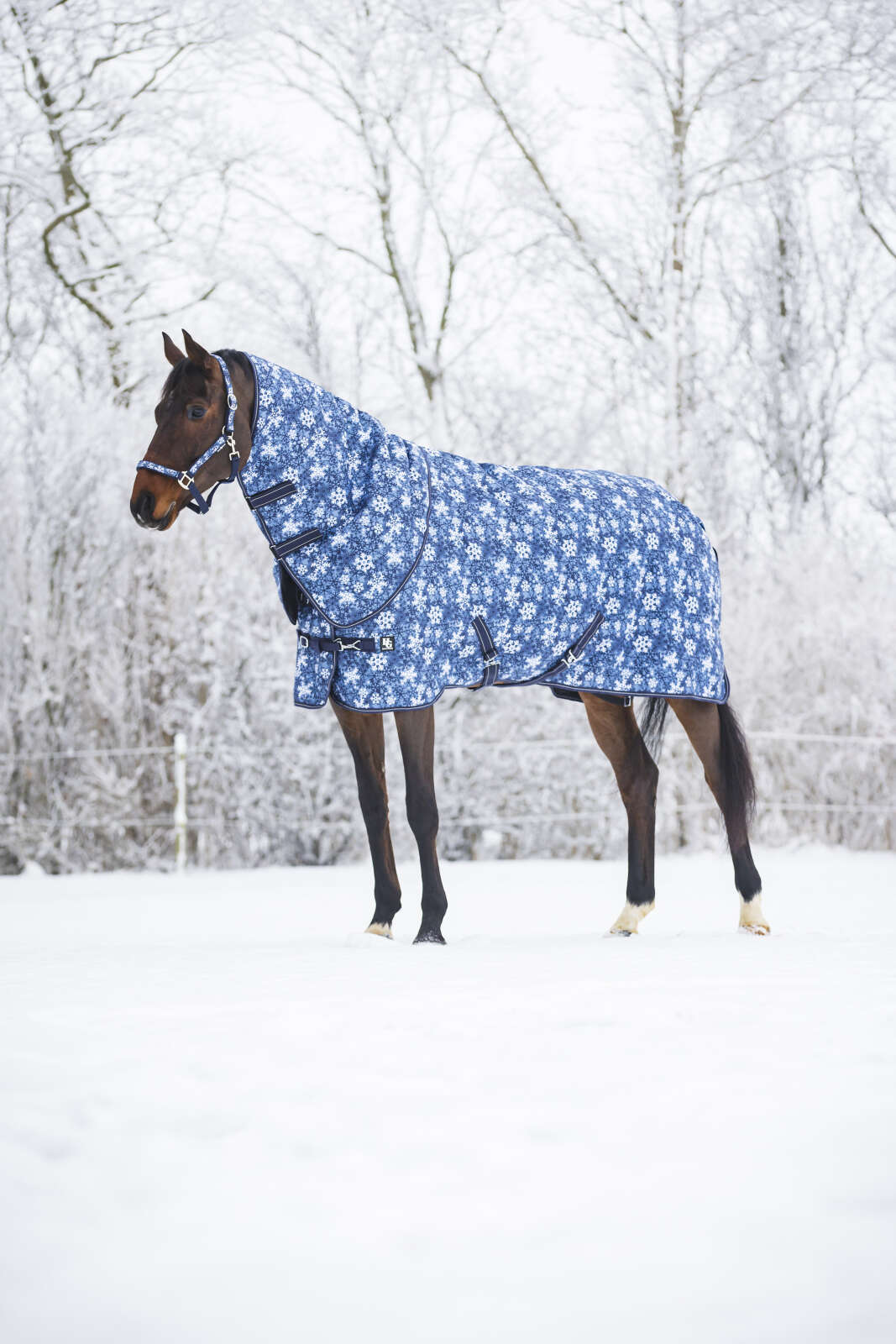 Horse Guard Snowflake 1200D-dekken, 200 g, avtakbar hals