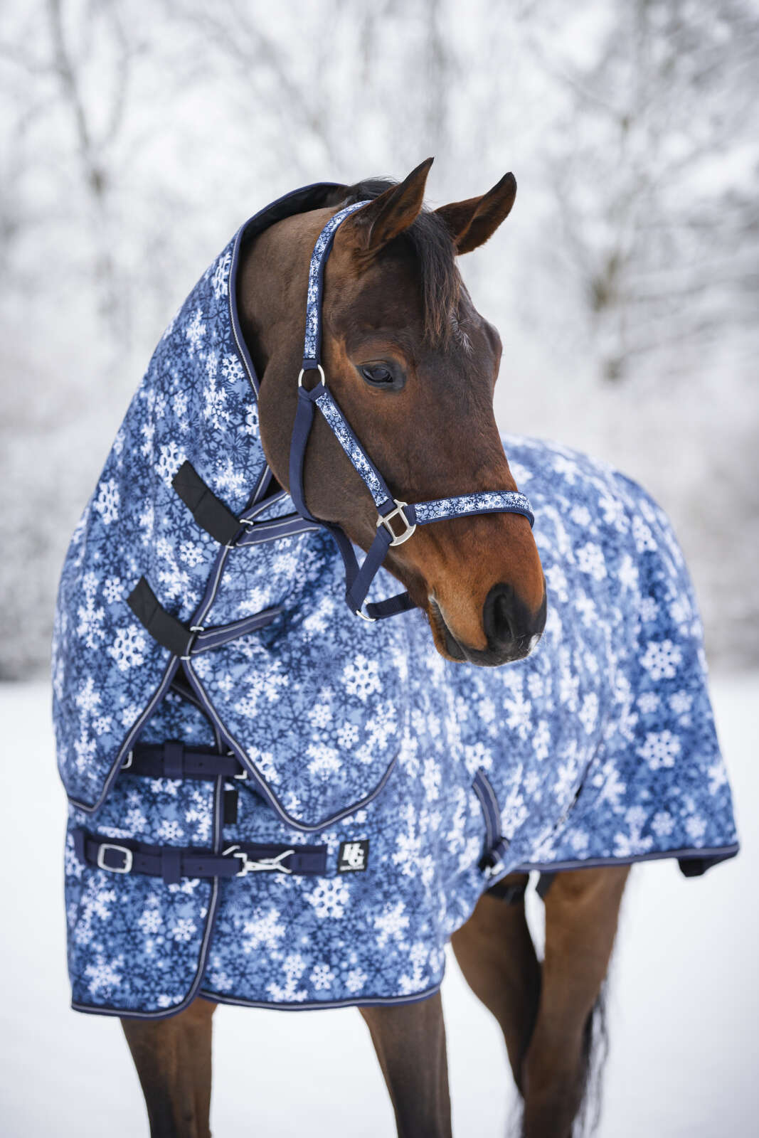 Horse Guard Snowflake 1200D-dekken, 200 g, avtakbar hals