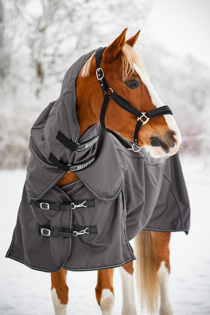 Horse Guard Adapting turnout dekken, 1200D, 0G