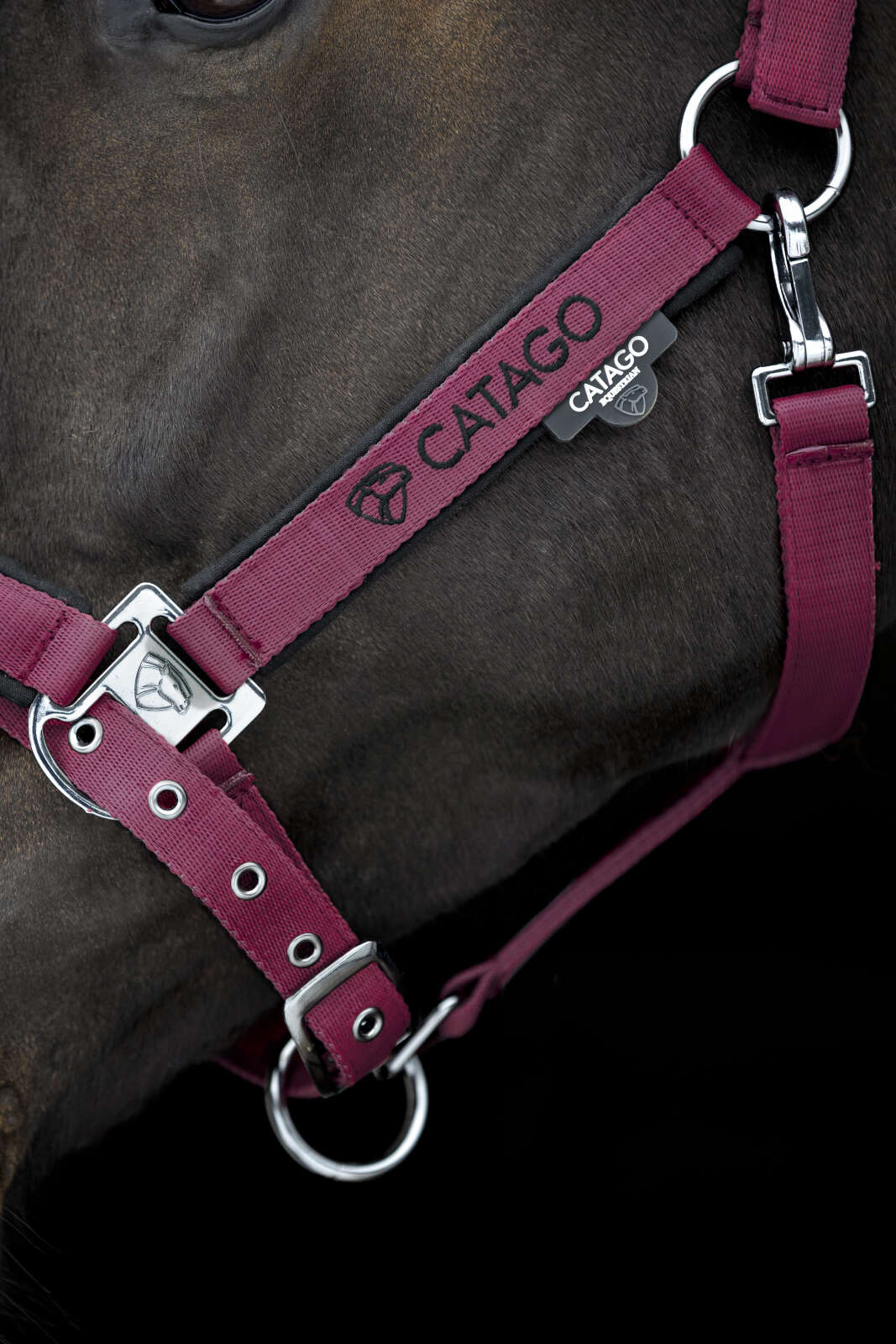 Catago FIR-Tech grimma 2.2
