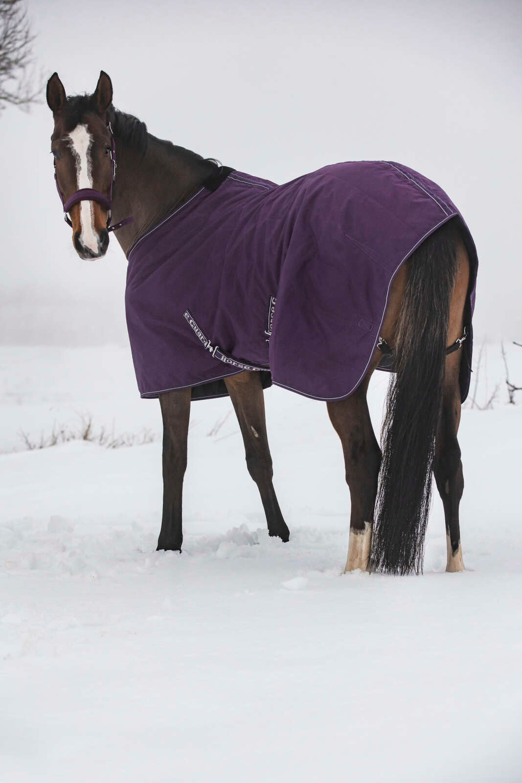Horse Guard Sophie stable rug 600D 300 g