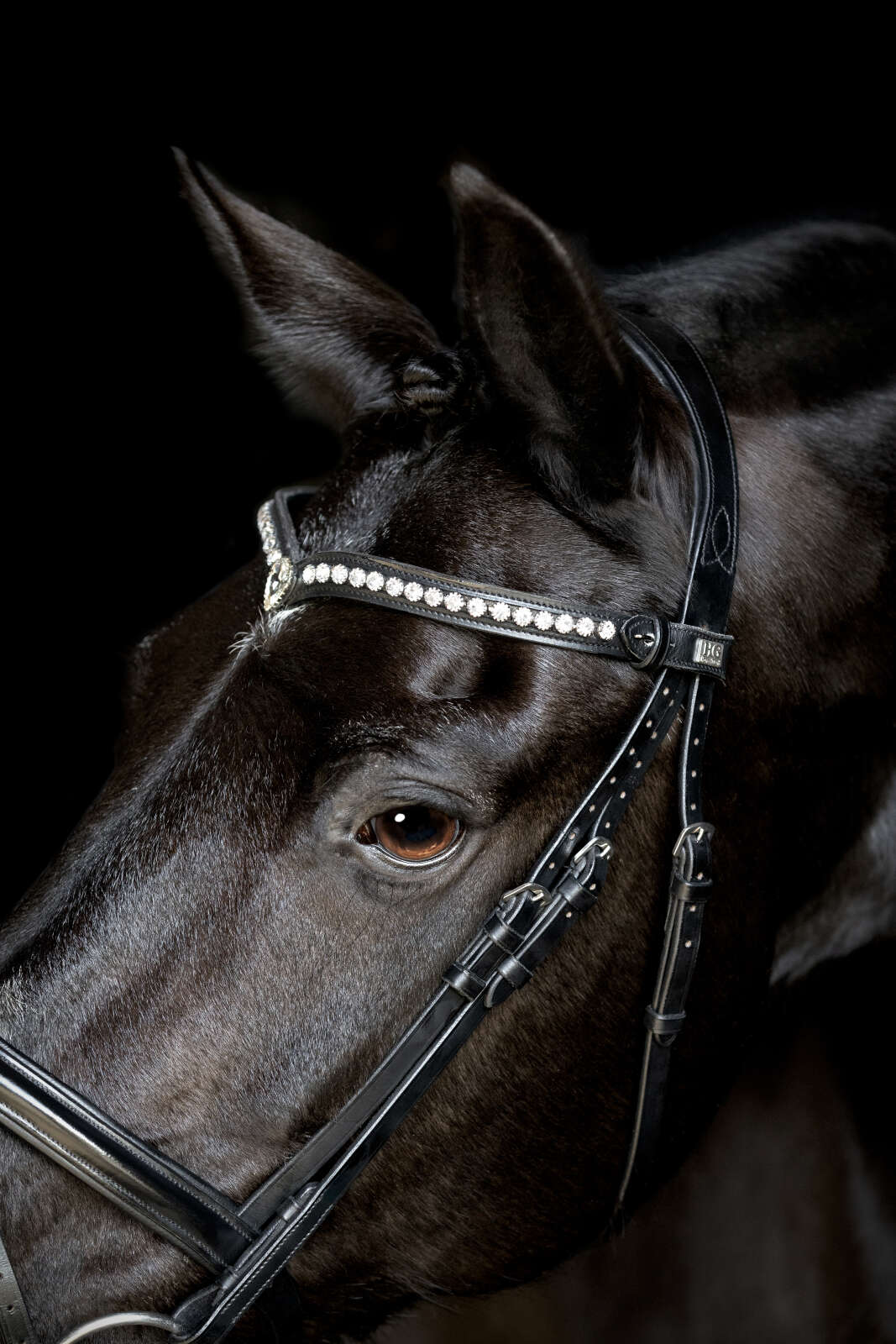 Horse Guard Palmdale V-shaped crystal browband